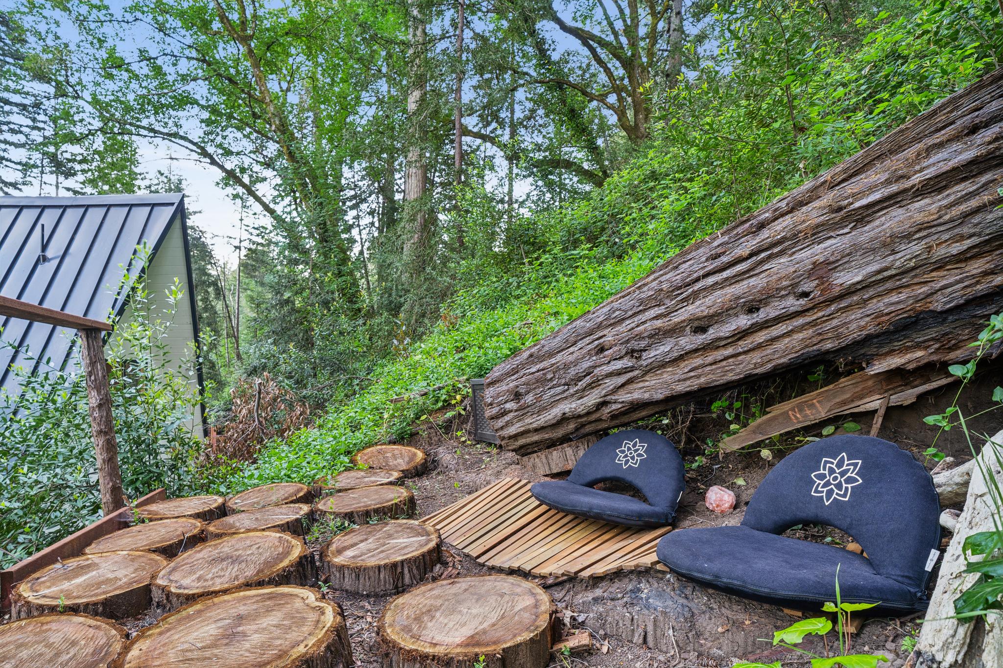Meditation trail through the ancient redwoods