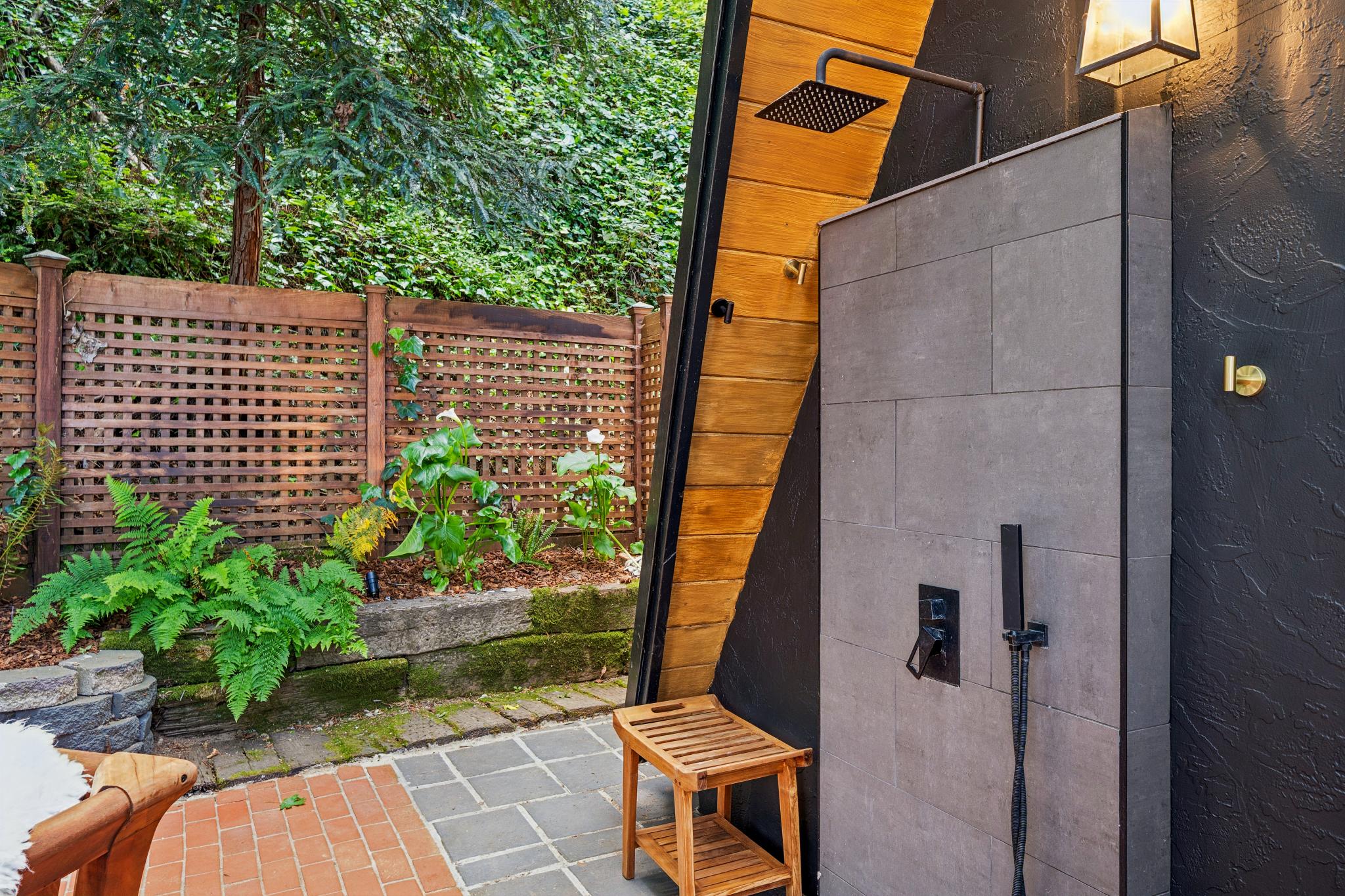 Mountain rainfall forest shower surrounded by ferns and redwoods